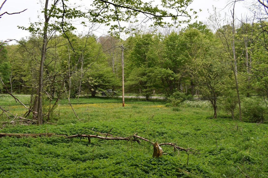 Picture 6