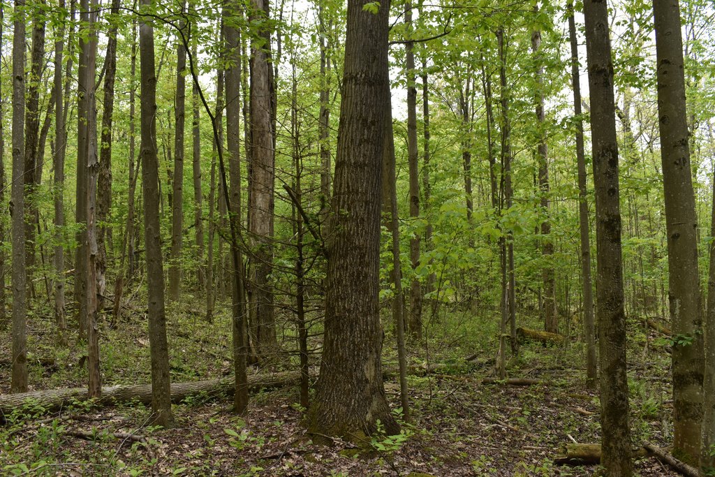 Picture 9