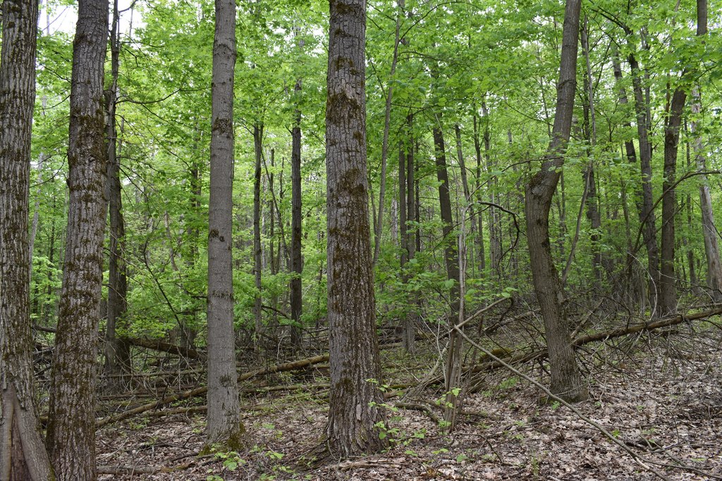 Picture 19