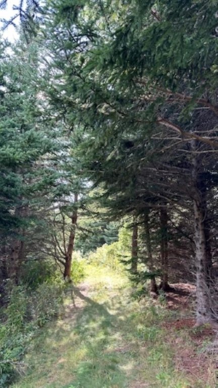 Picture 19