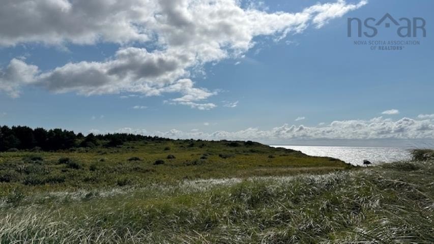 Picture 21