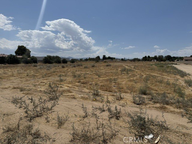 Picture 5