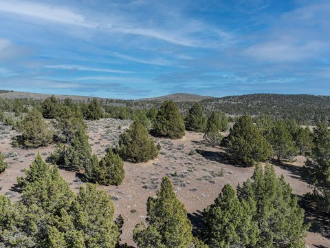 Recreational Hunting Land with Fencing