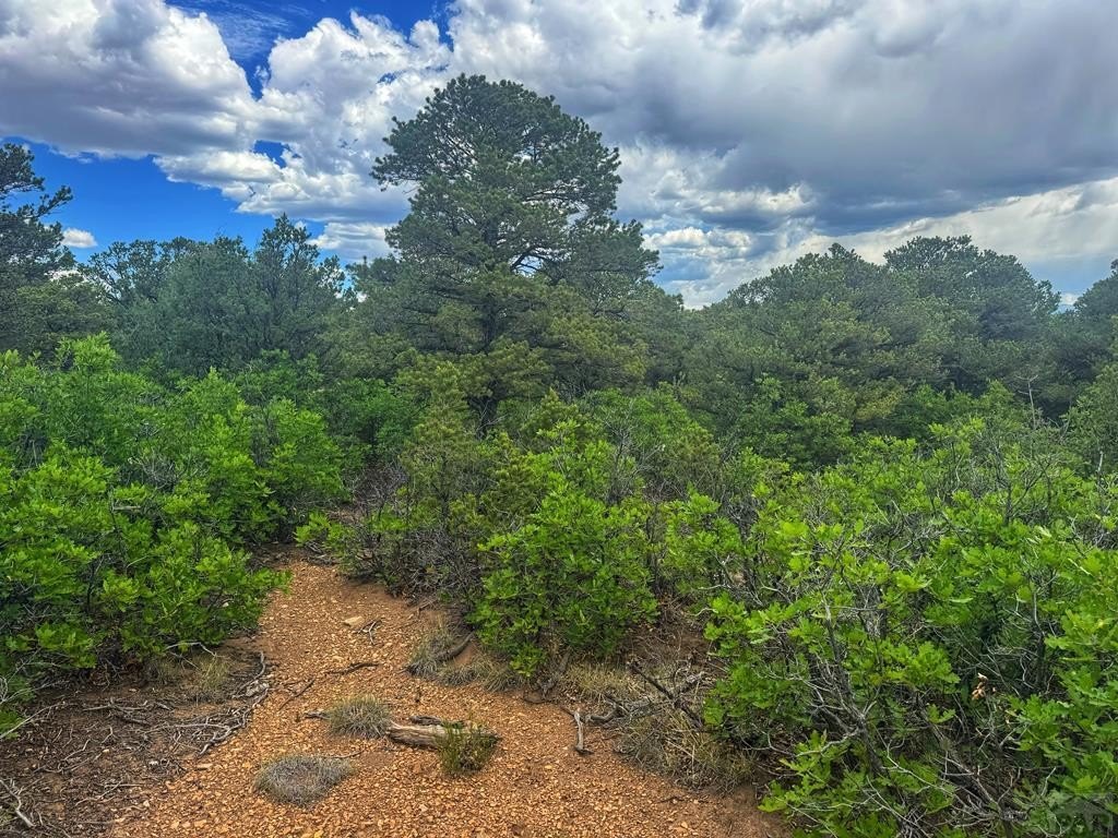 Walsenburg Land with Mountain Views