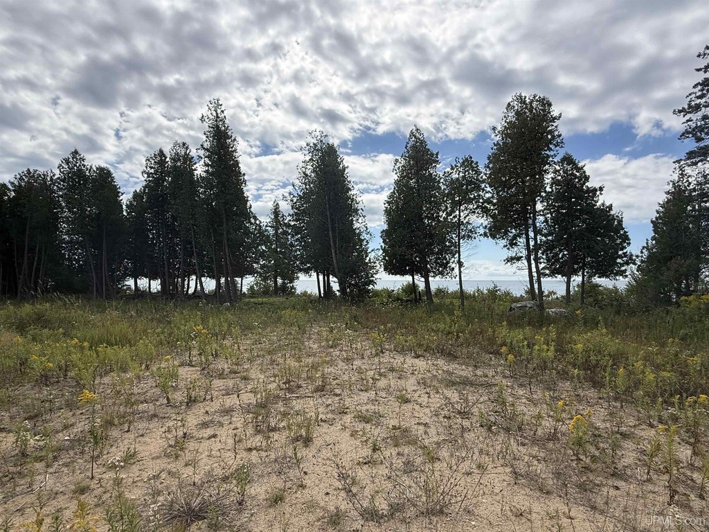 Picture 23