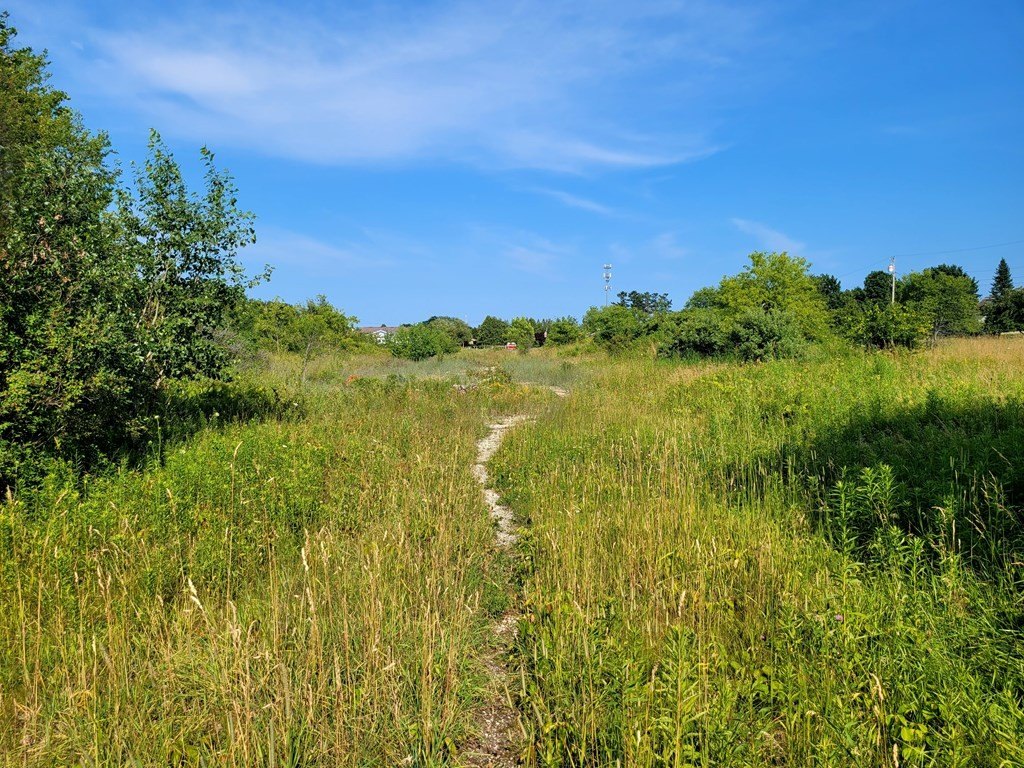 Picture 9