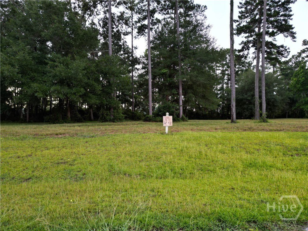 Picture 16