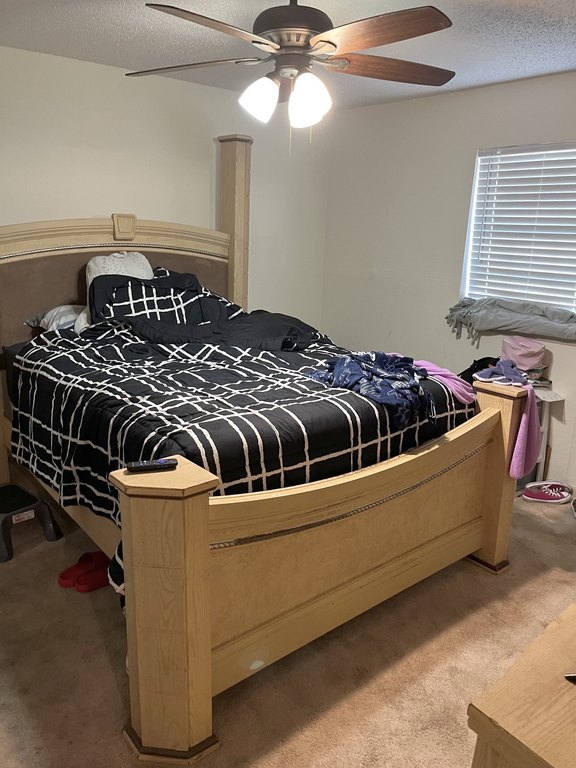 Picture 18