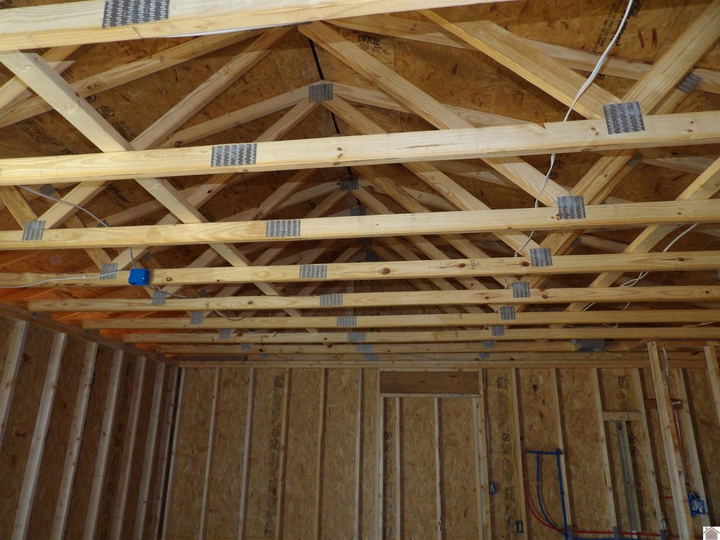 Picture 19