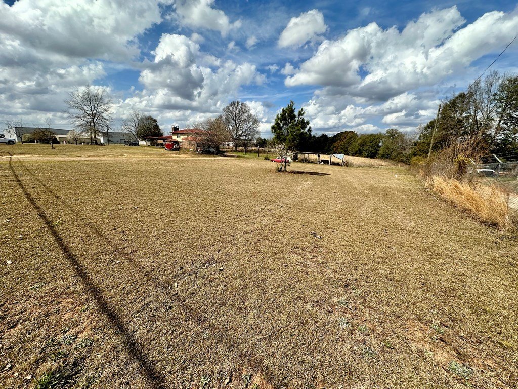 Picture 12