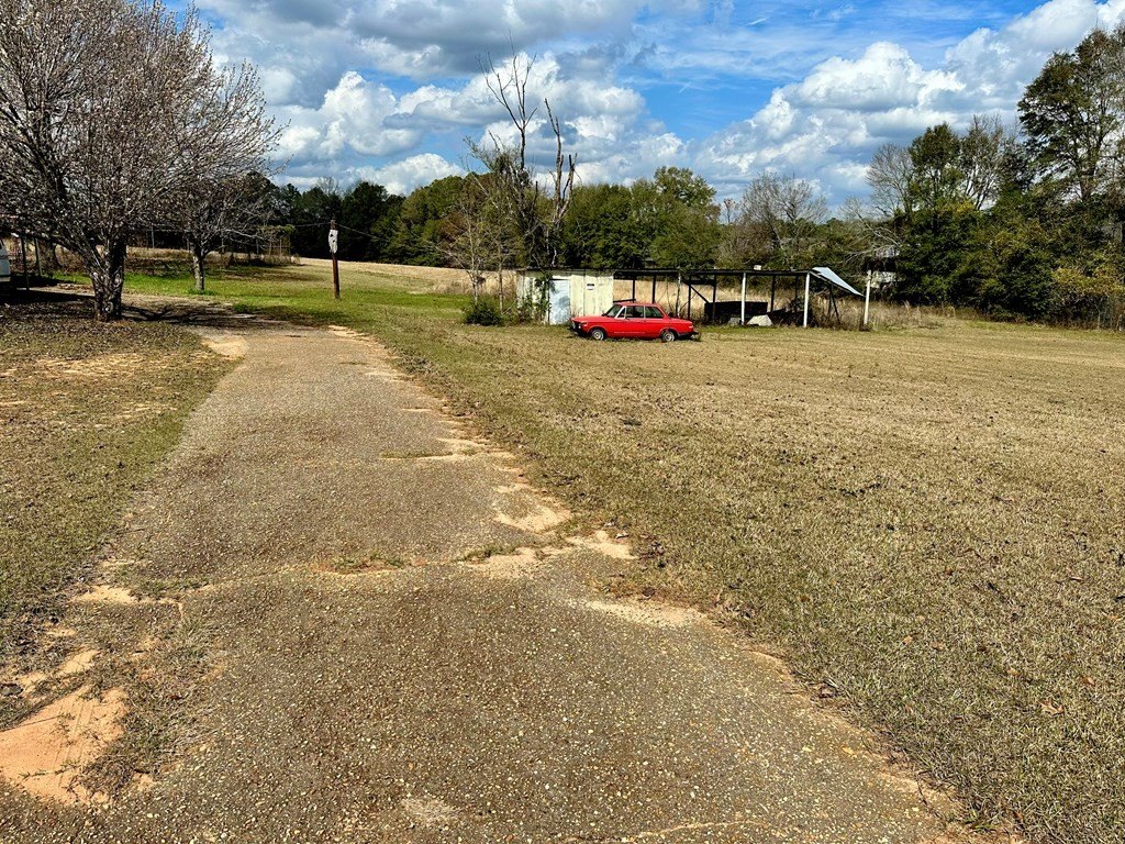 Picture 13