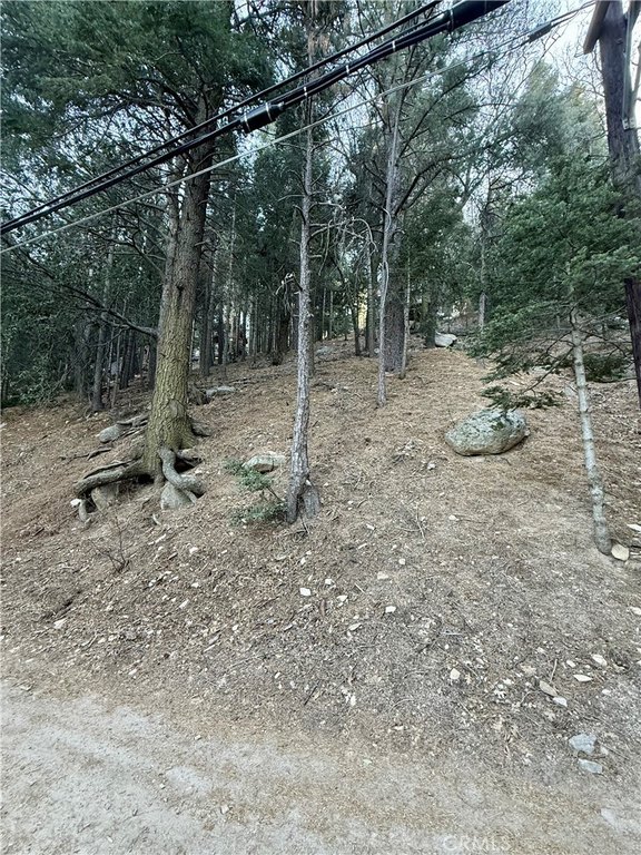Picture 4