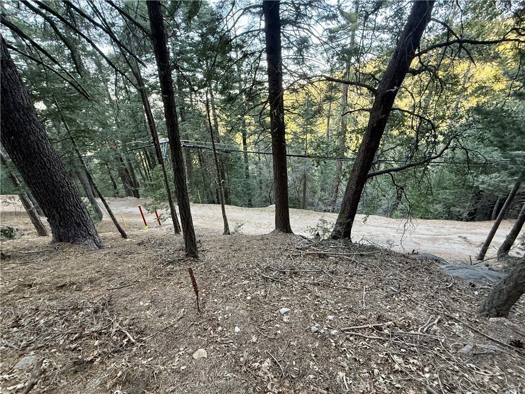 Picture 12
