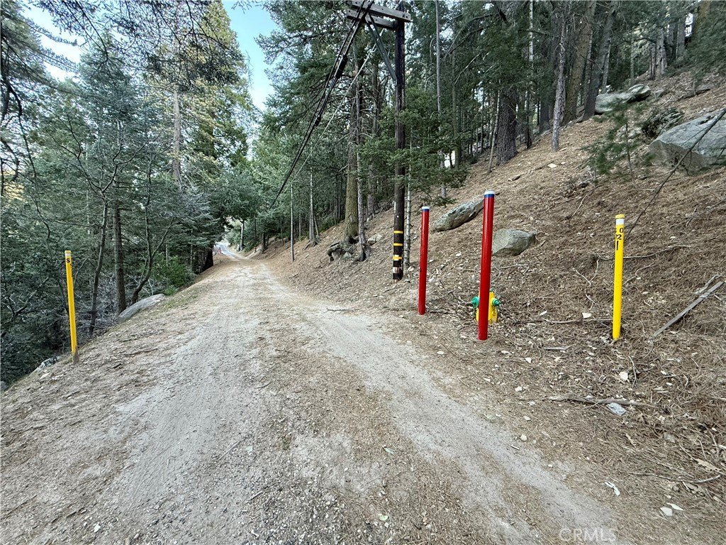 Picture 11