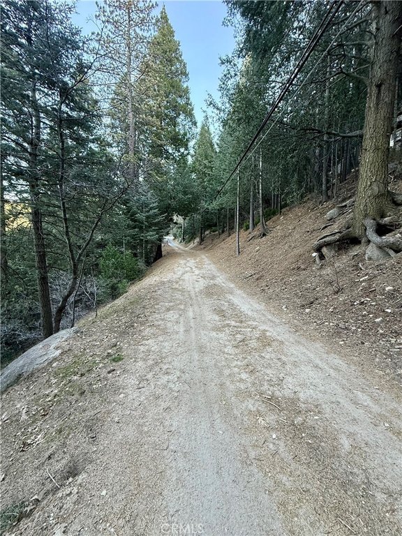 Picture 9