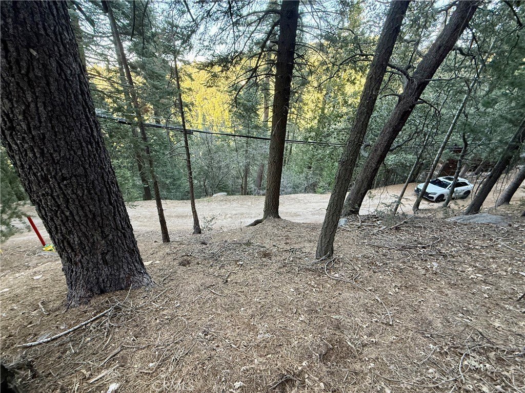 Picture 15