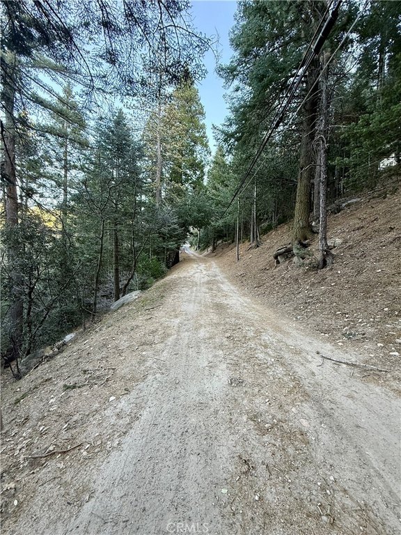 Picture 10