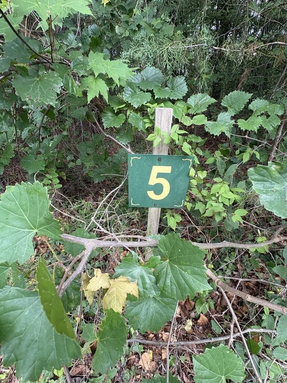 Picture 17