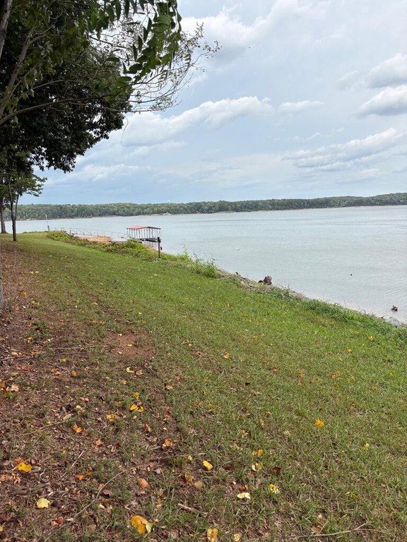 Picture 8
