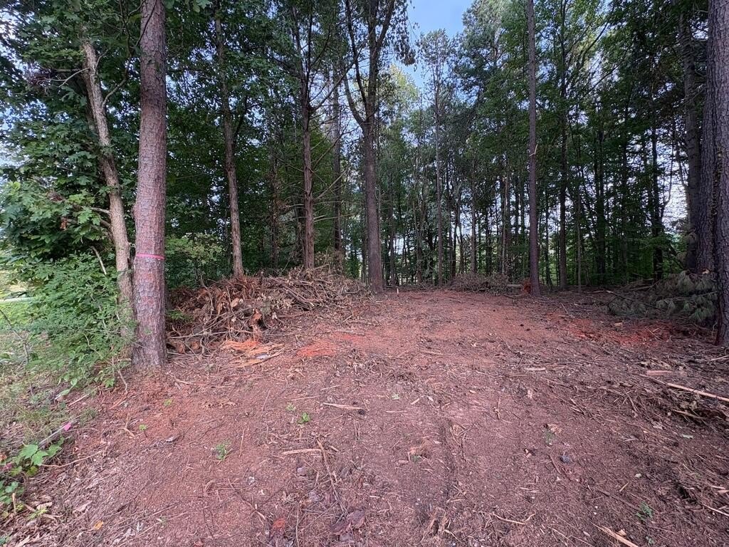 Picture 29