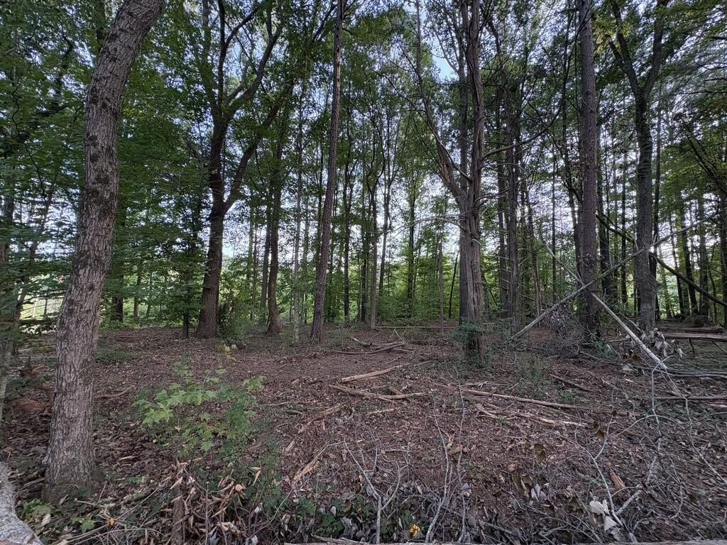 Picture 27
