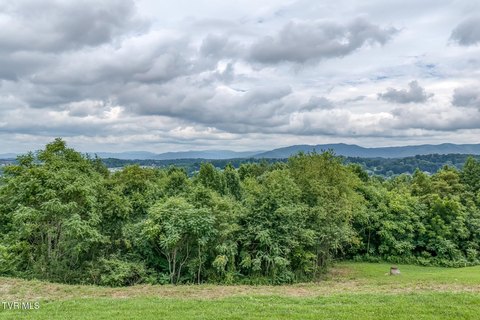 LAND - Johnson City, TN