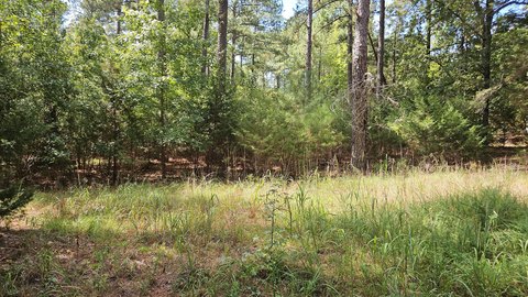 Land Near Lake in Lincolnton