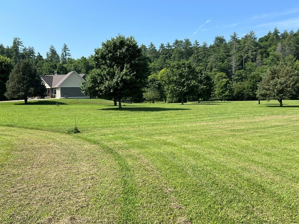 Picture 48