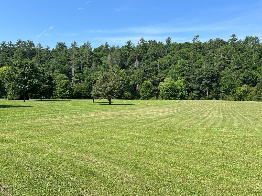 Picture 41