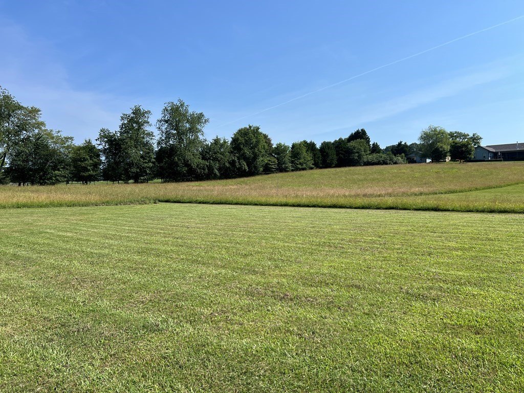 Picture 44