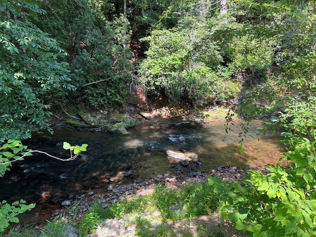 Picture 27