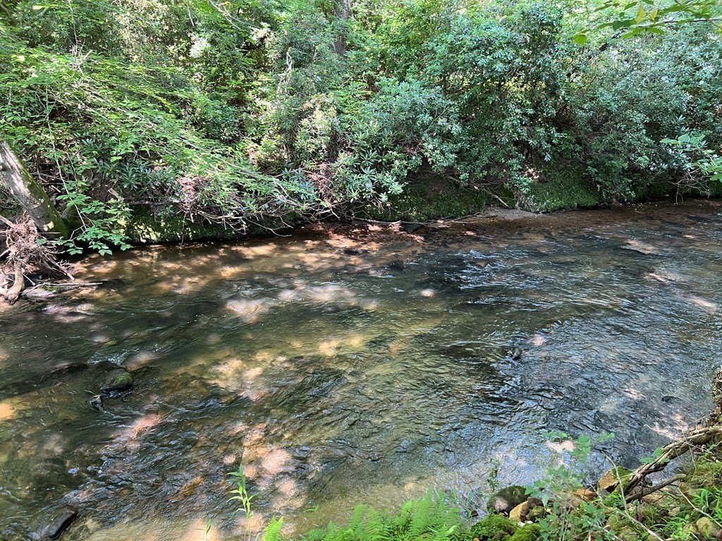 Picture 24