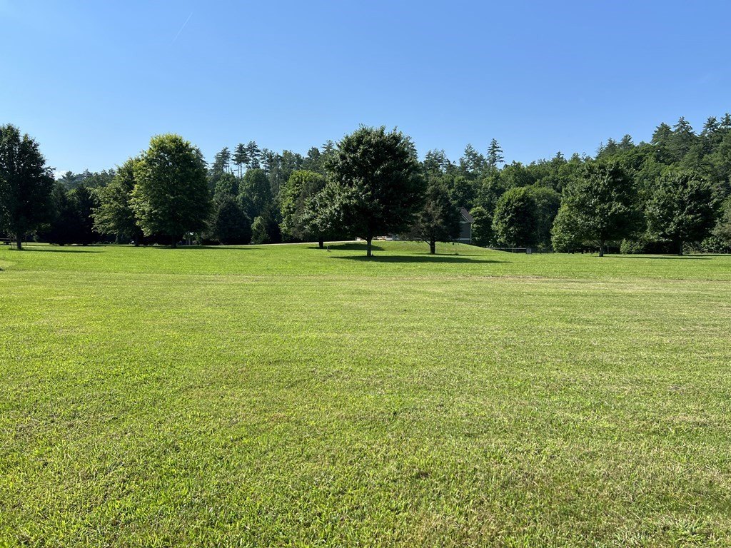 Picture 36
