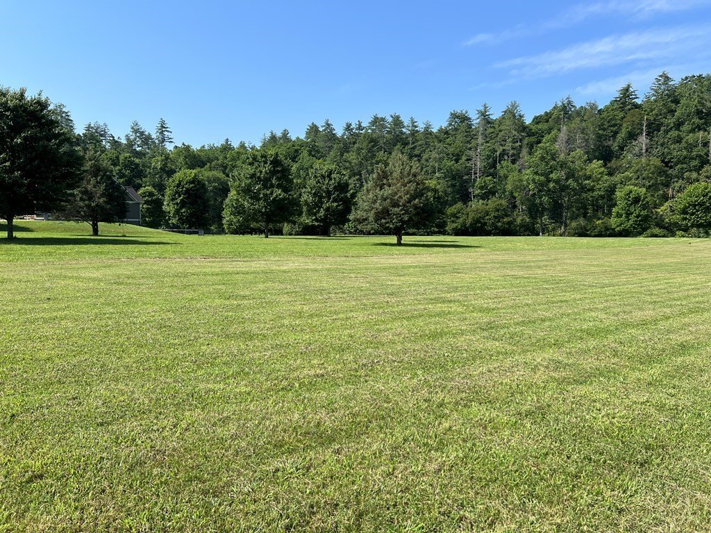 Picture 23