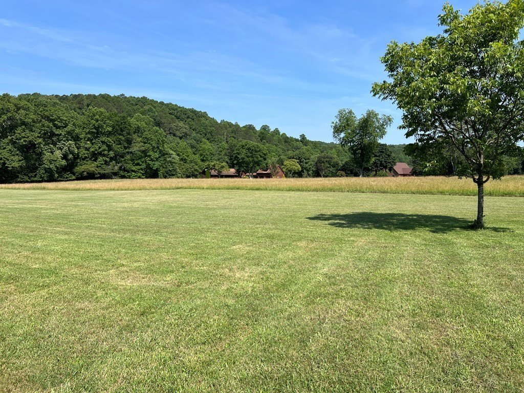 Picture 22