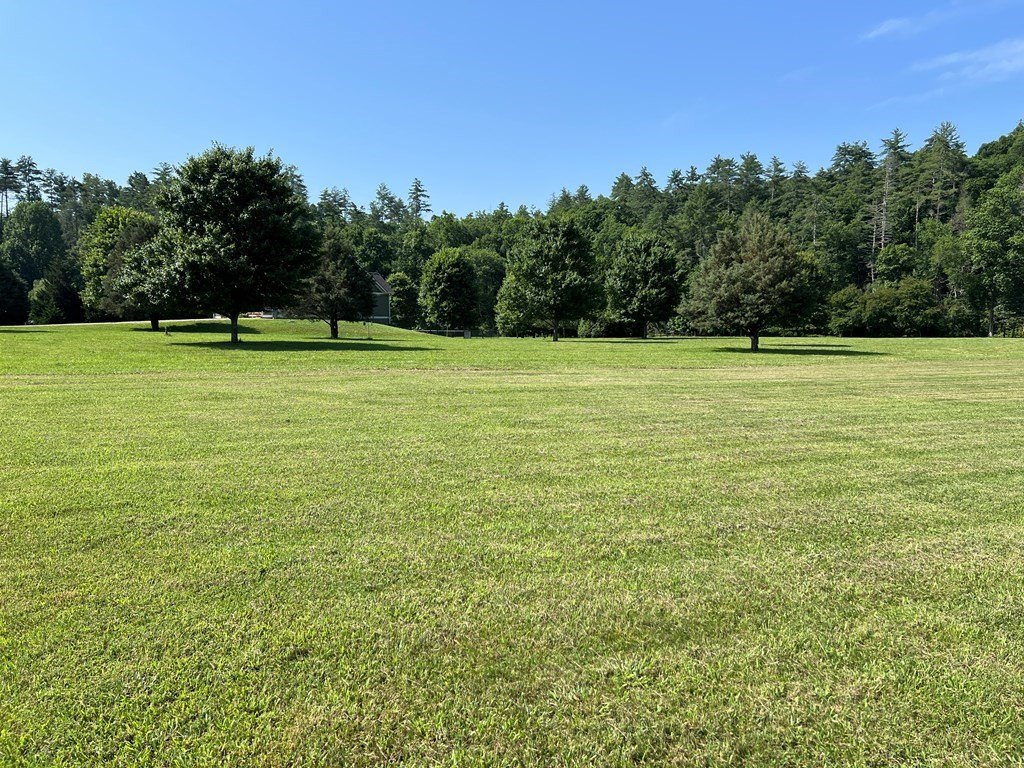 Picture 30