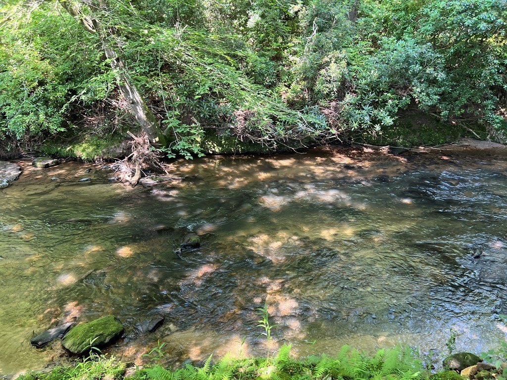 Picture 38