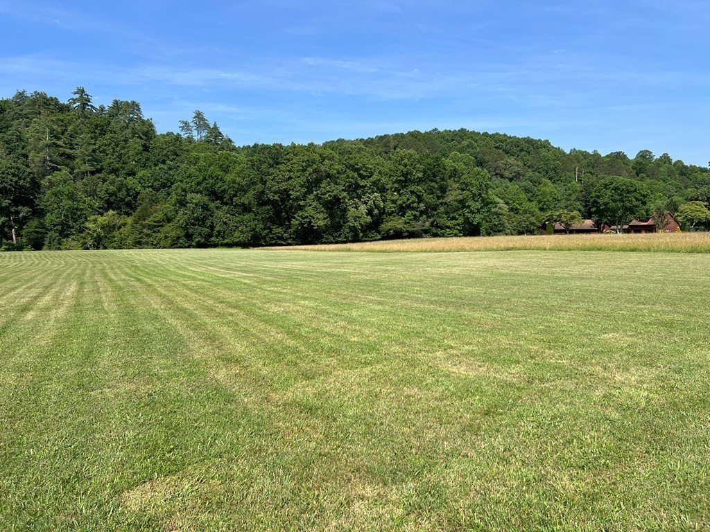 Picture 25