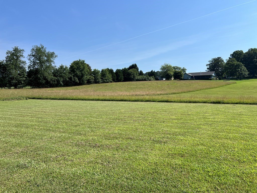 Picture 35