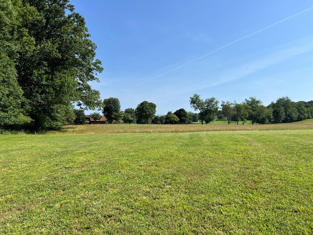 Picture 46