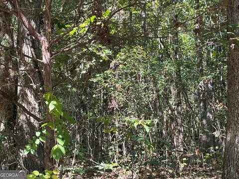 Union Point Wooded Acreage