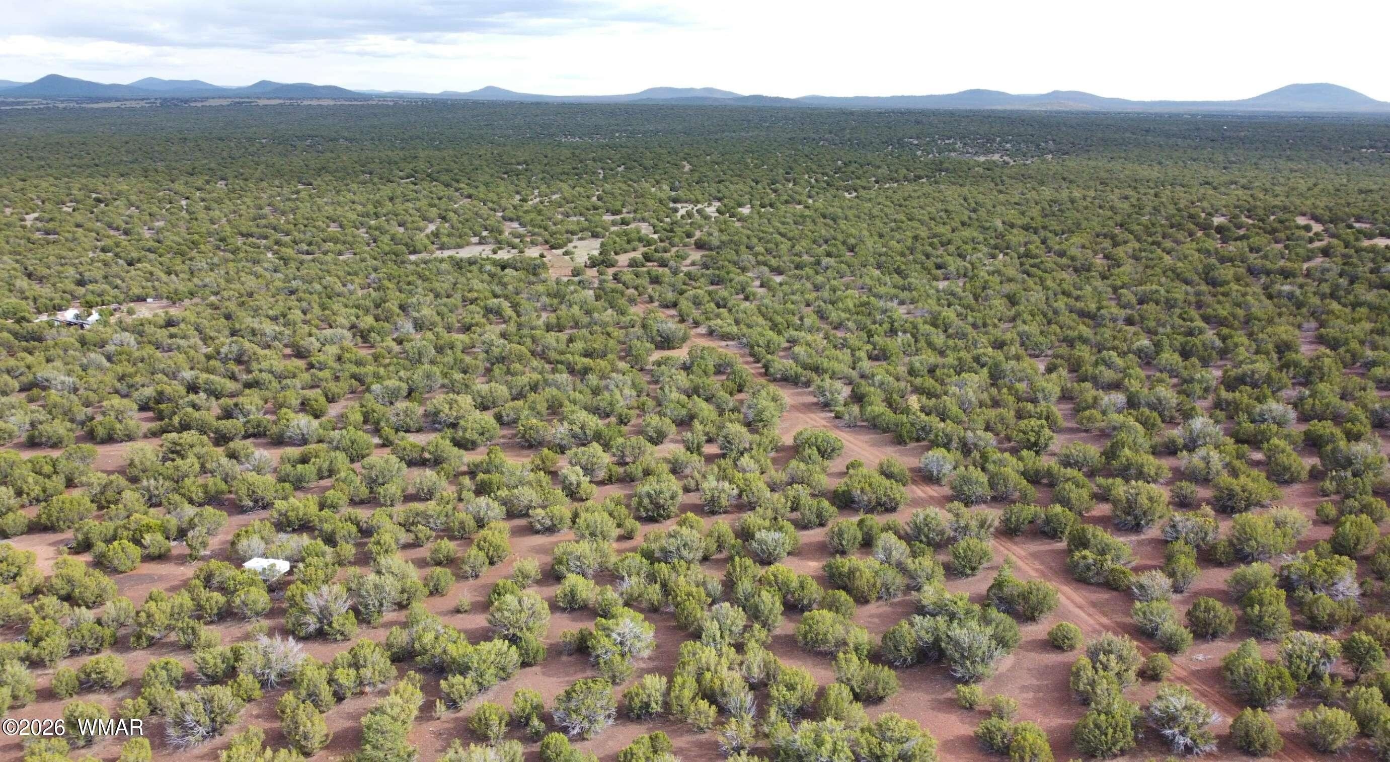 Show Low Treed Land Parcel