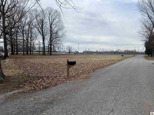 Picture 11