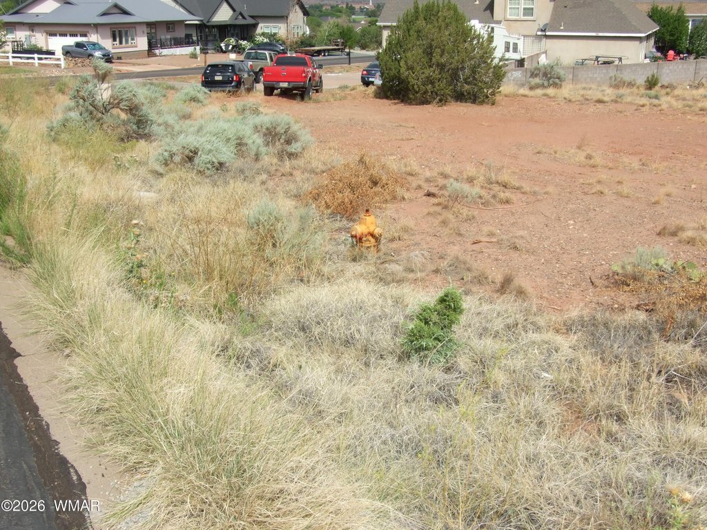 Picture 5
