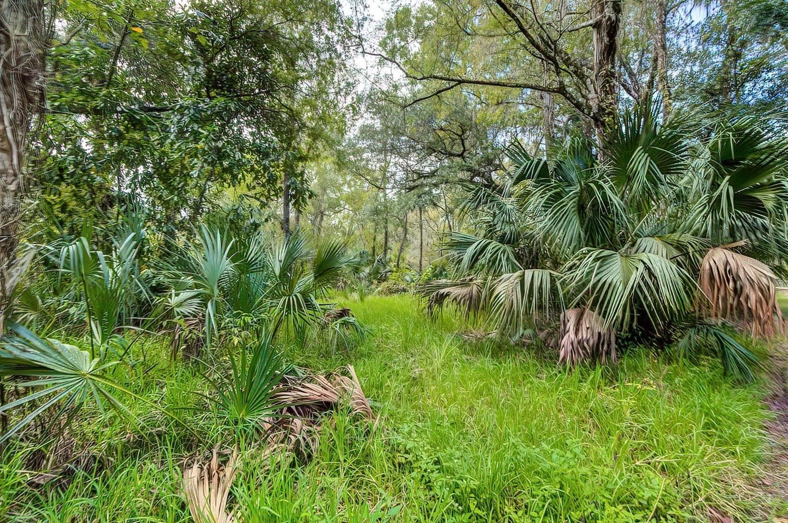 8.15 Acres on Hwy 301