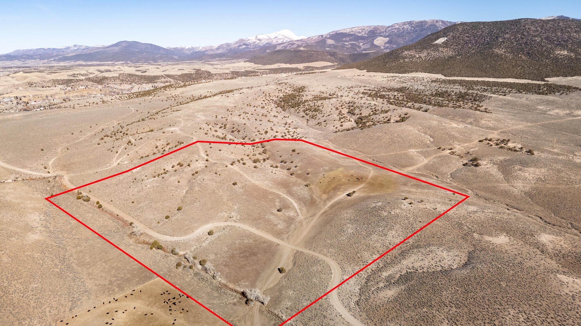 40 Acres of Open Land