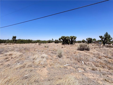 Phelan Land Lot For Sale