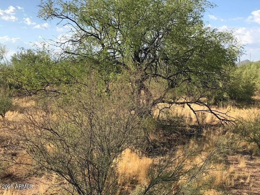 Picture 7