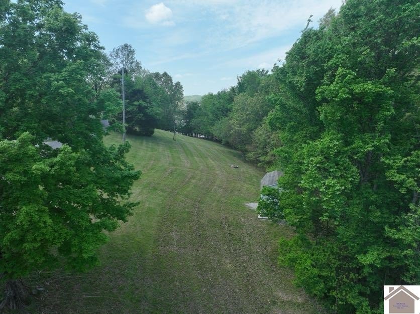 Picture 4