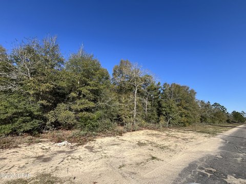 Residential Land Near Chipley, FL